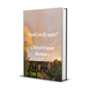 Would you fly again?